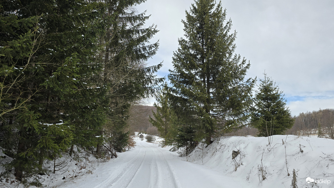 Fenyőfa + hó = Karácsony!