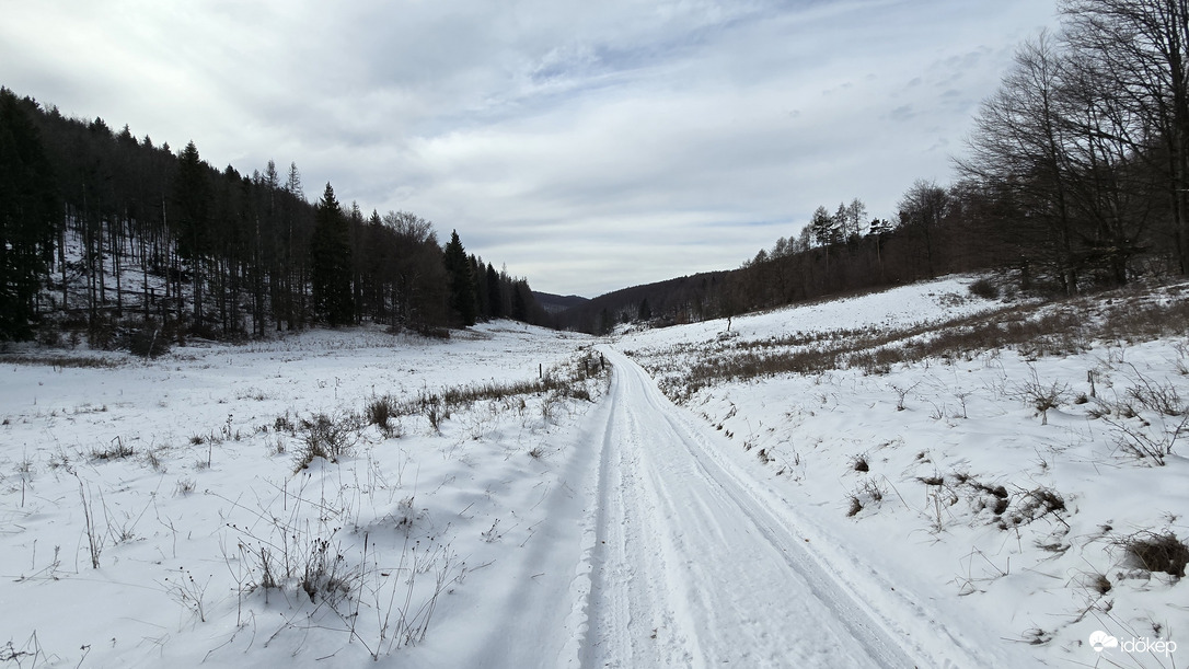 Út a végtelen télbe