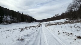 Út a végtelen télbe