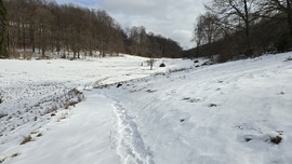 Út a végtelen télbe