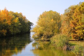 Ősz a Kis-Balatonnál
