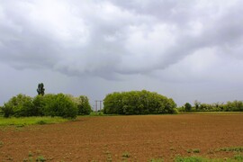 Dunyha