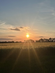 Utolsó sugarak simogatnak