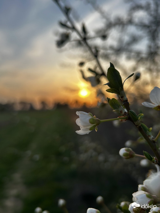 Kukucskáló naplemente