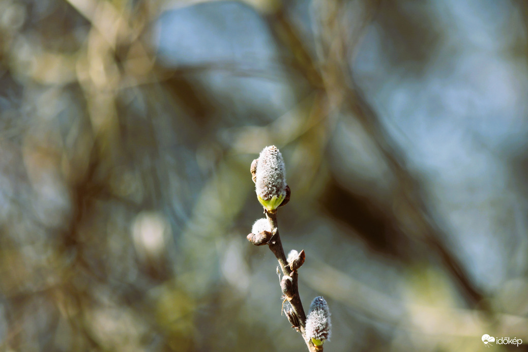 Barka égi háttérrel