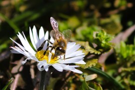 Elkezdődtek a tavaszi munkák