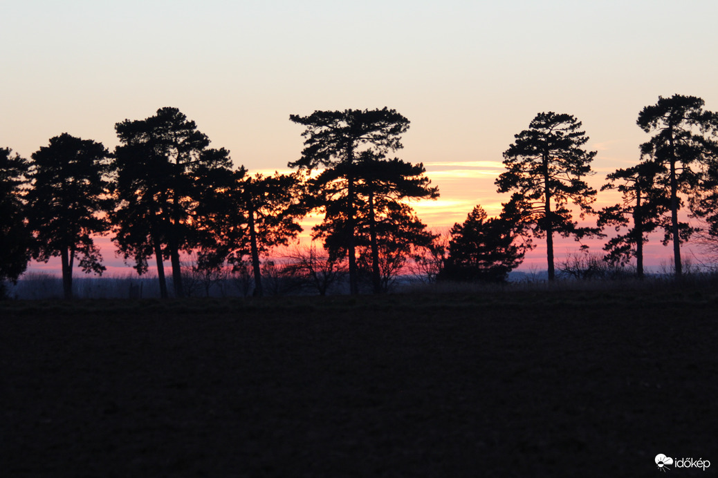 Vattacukor színek a Fenyves-allén