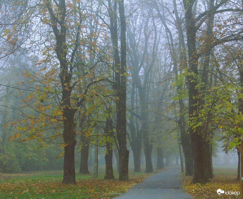 Beült hozzánk a köd