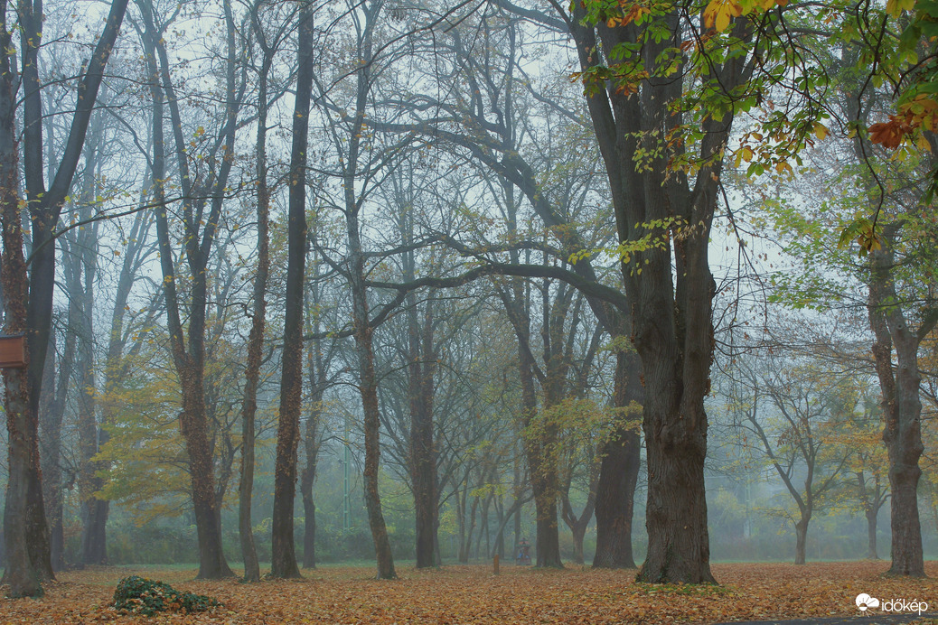 Köd előttem, köd mögöttem