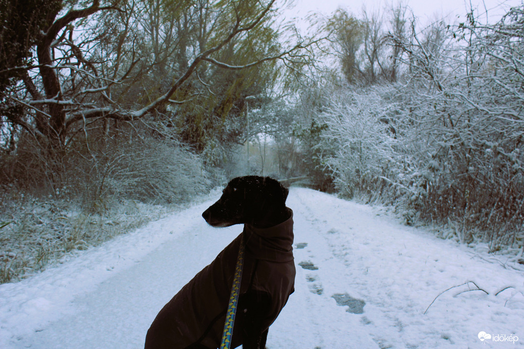 Léccciii, menjünk inkább haza