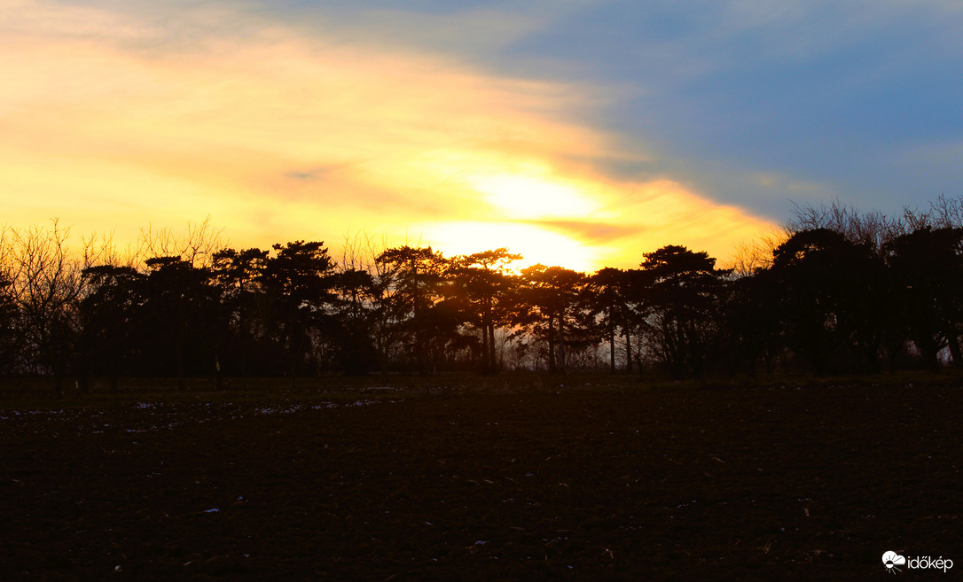 Fenyves allé estefelé