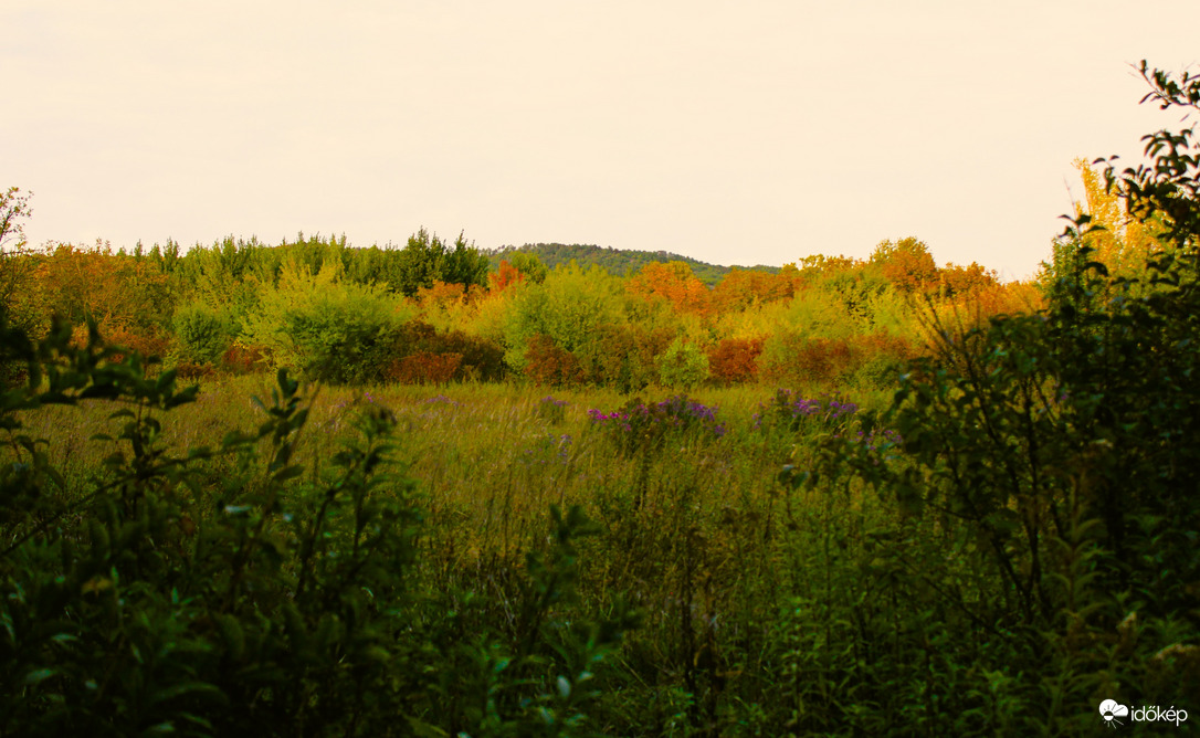Szépen alakulnak az őszi színek