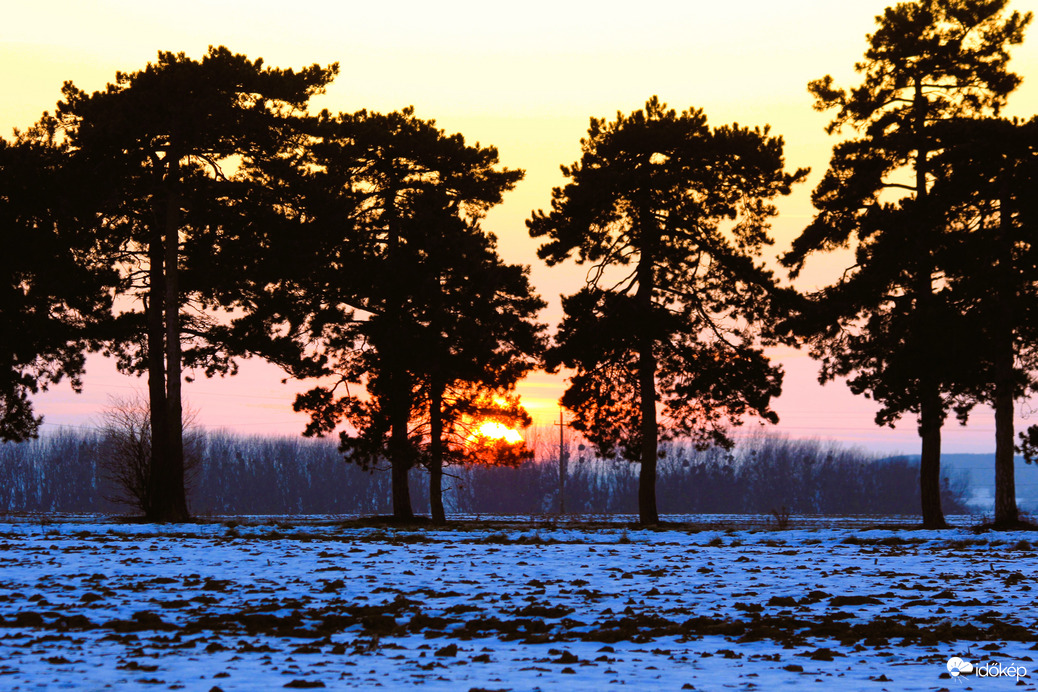 Megpihent még a fák ágain
