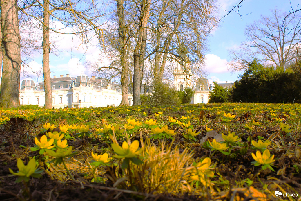 Keszthely, Festetics-kastély park. Téltemetők