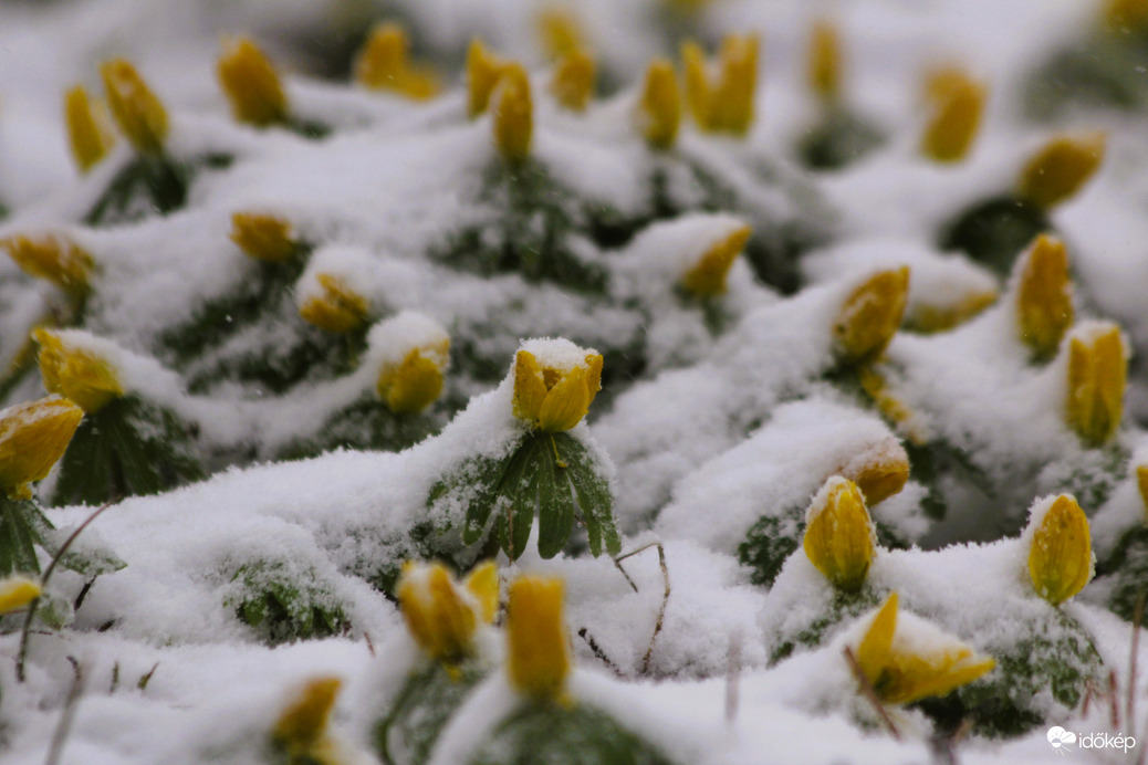 Téltemetők dideregve