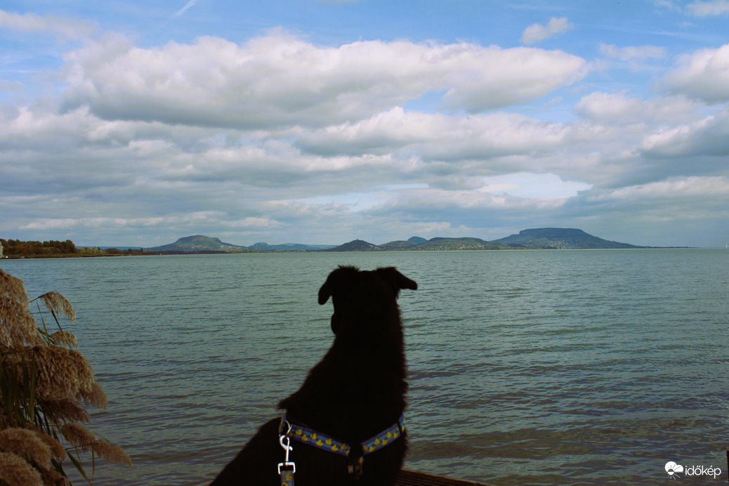 Jók a kilátások :)