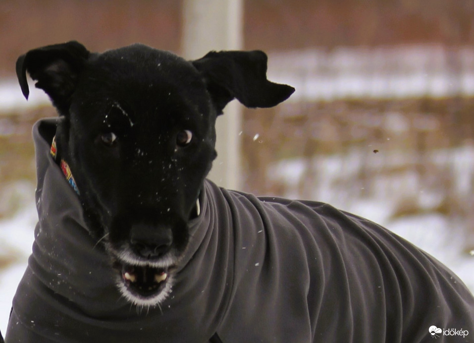 Jól hallom? Jövő héten már nem kell pulcsi?