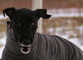 Jól hallom? Jövő héten már nem kell pulcsi?