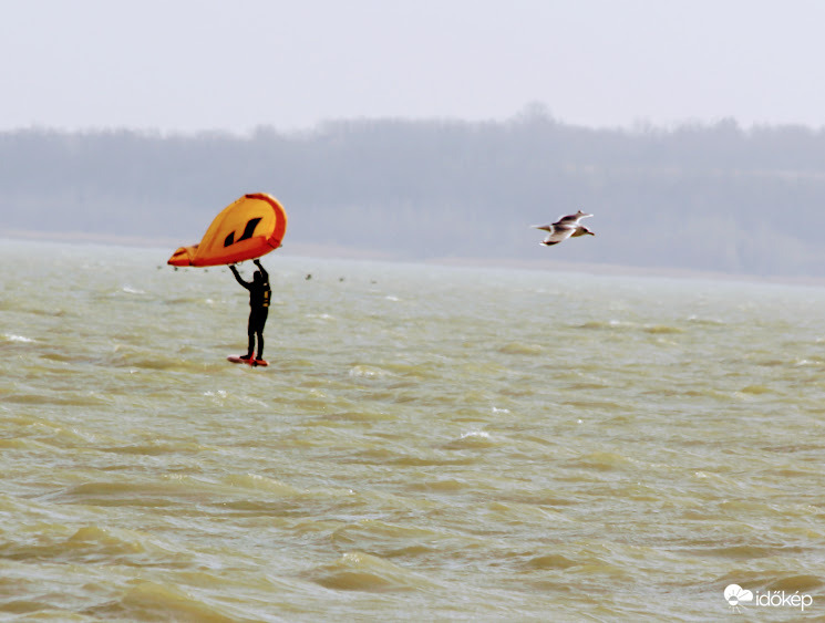 Így tárd szét a szárnyad, mutatom!