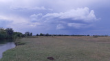 Dunavecse