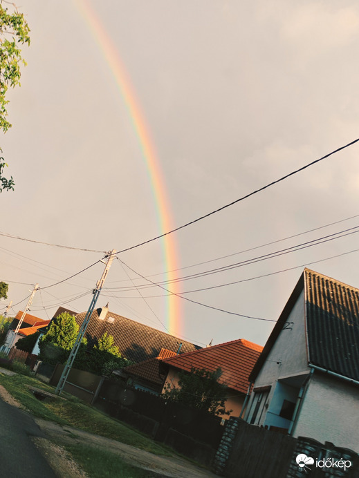 Szirmabesenyő