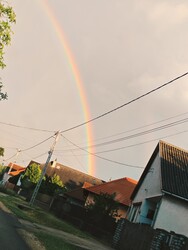 Szirmabesenyő