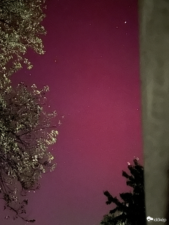 Aurora Borealis, Táplánfa