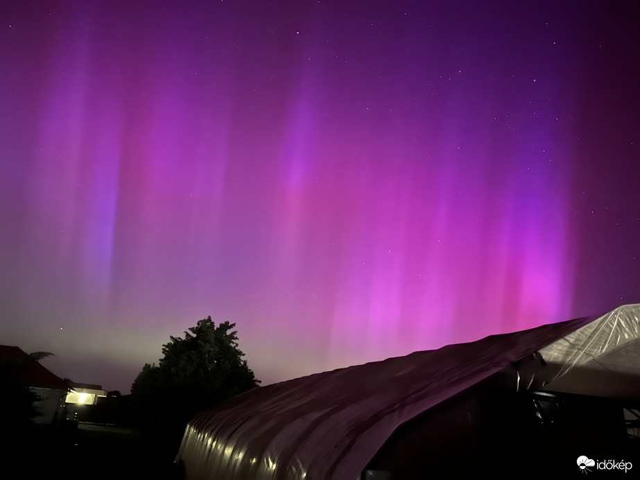 Aurora Borealis, Táplánfa 01h00