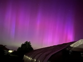 Aurora Borealis, Táplánfa 01h00