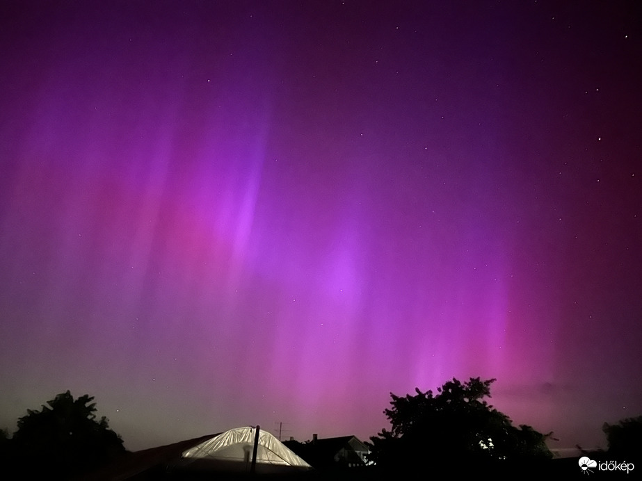 Aurora Borealis, Táplánfa 01h05