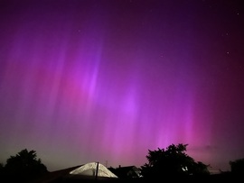 Aurora Borealis, Táplánfa 01h05