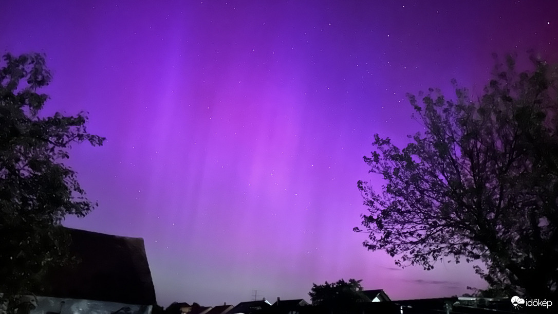 Aurora Borealis, Táplánfa 01h10