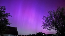 Aurora Borealis, Táplánfa 01h10