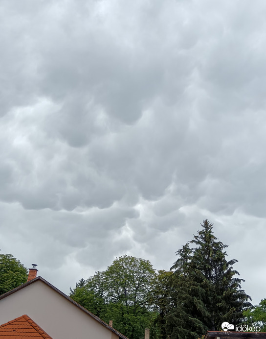 Miskolc, mammák