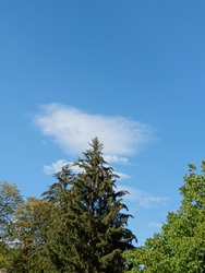 Miskolc