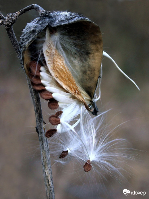 Találd ki, mi ez :)