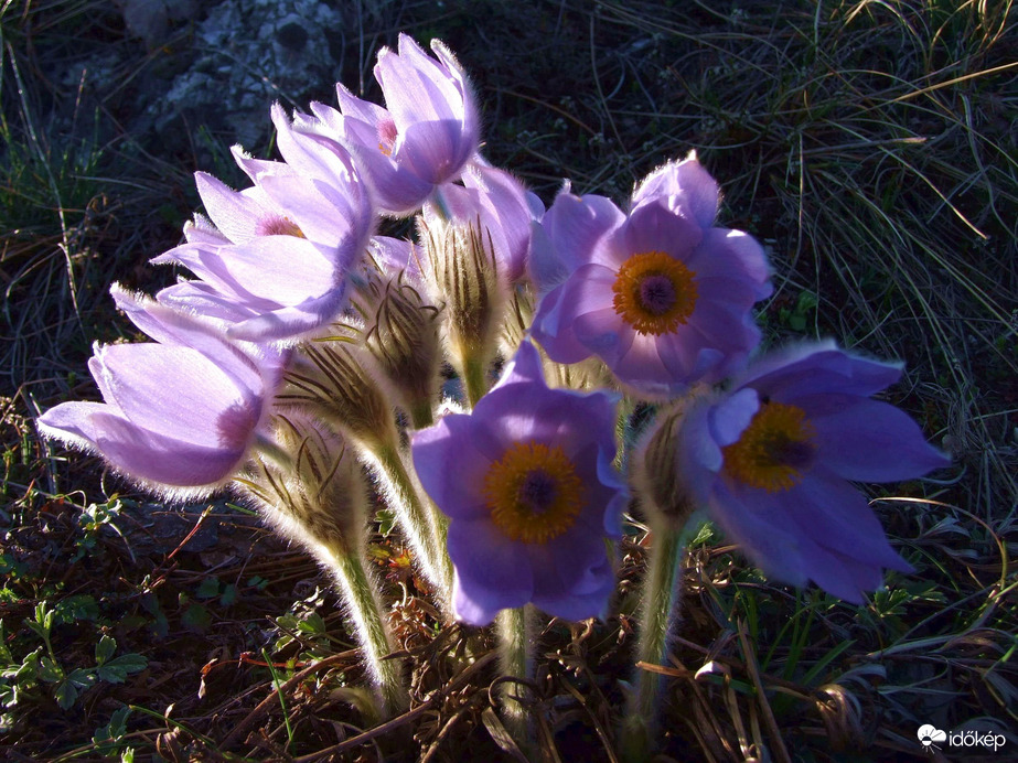 Átsüt a tavaszi fény 