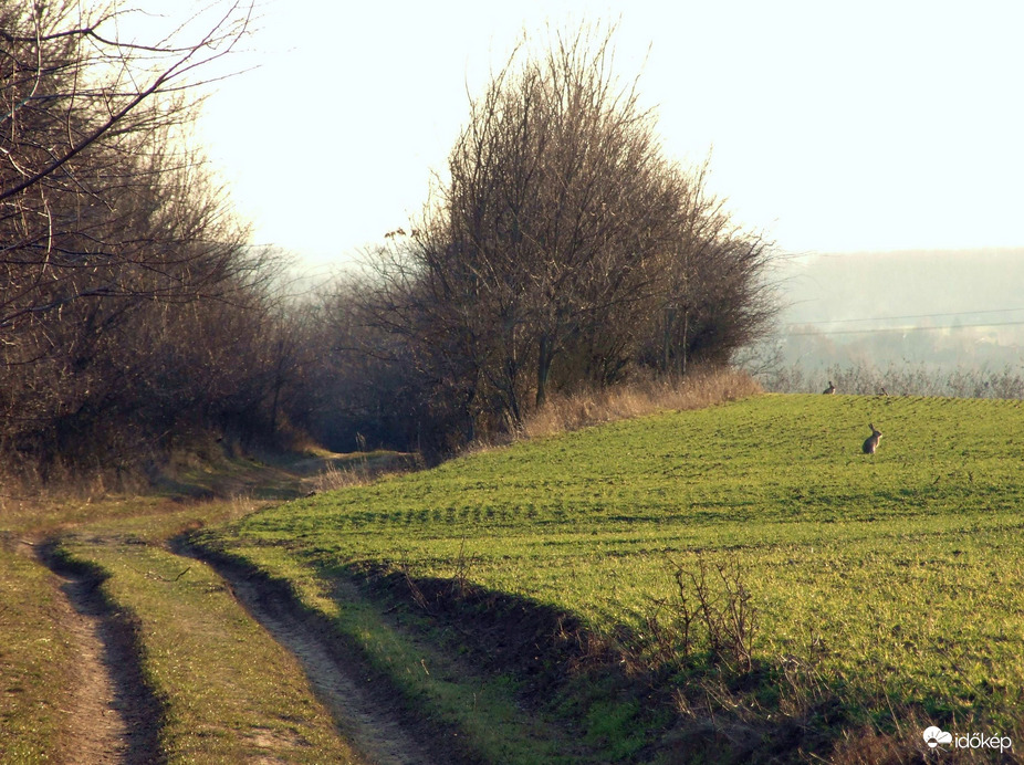 Közeleg a húsvét :)