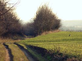 Közeleg a húsvét :)
