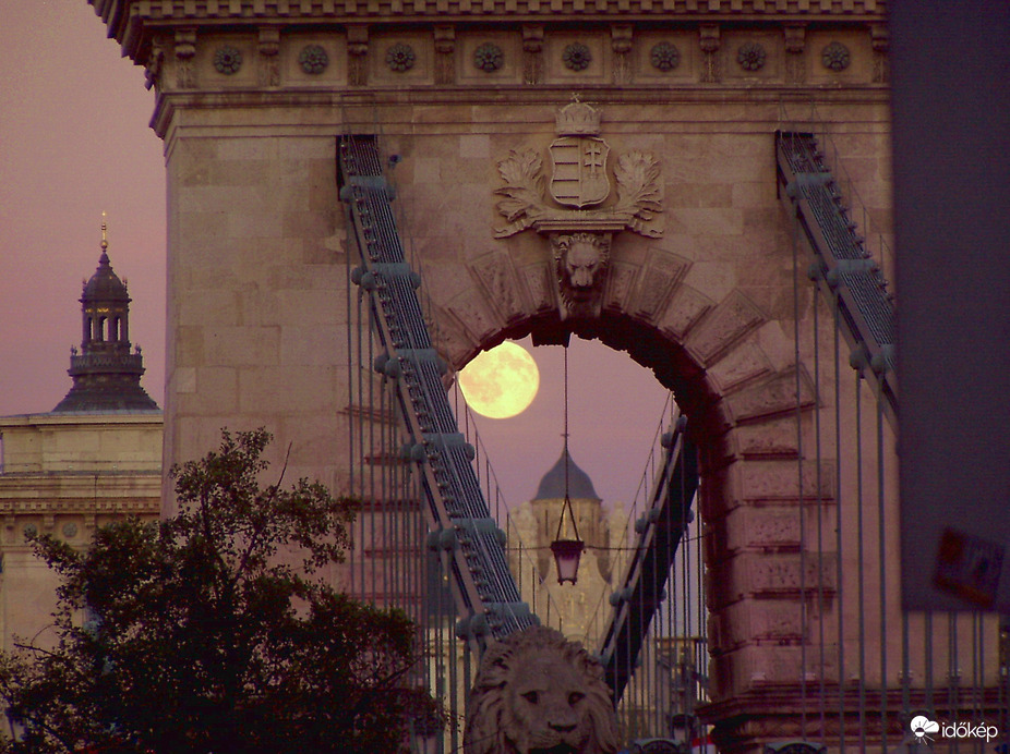 Városi hold 