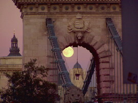 Városi hold 