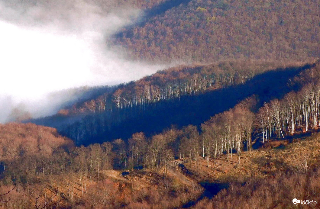 A köd és a napfény harca :) 