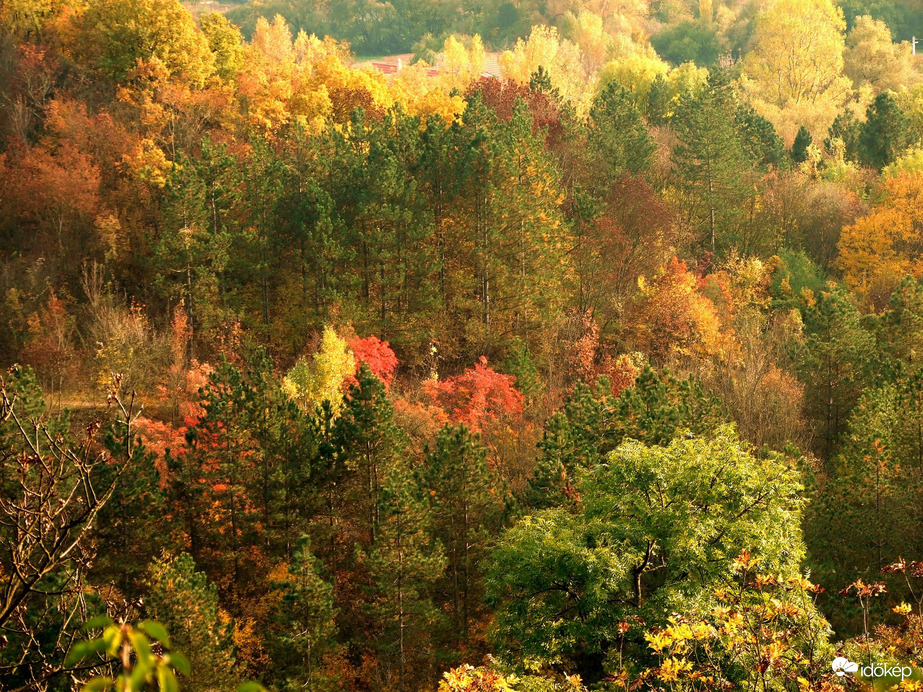 Képek a Remete-szurdokból 