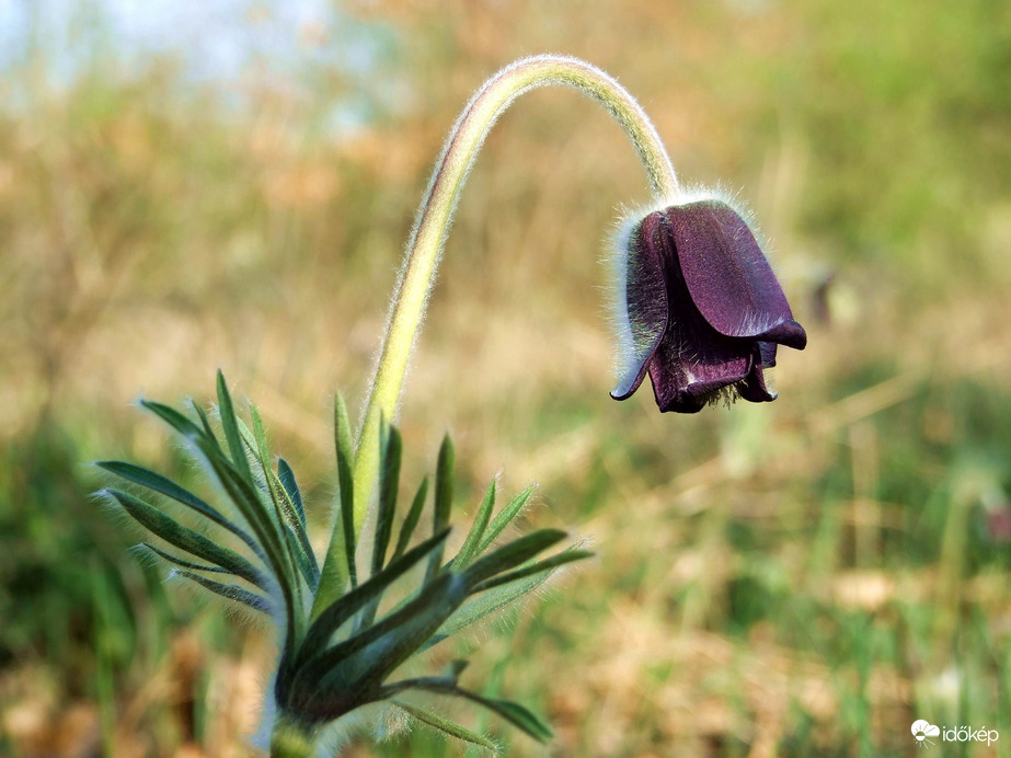 Az út második fele