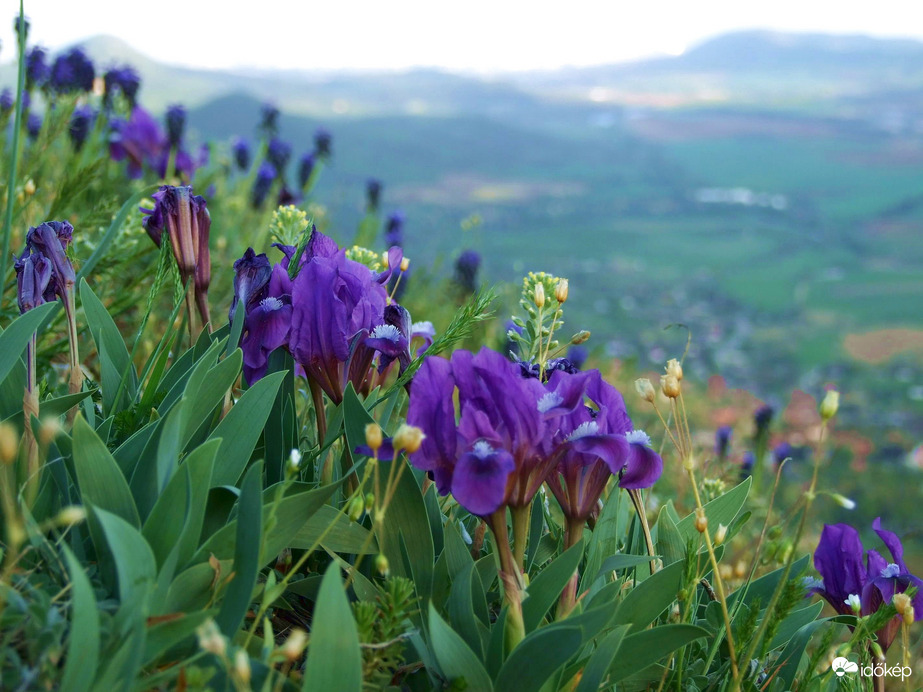 Búcsúztatjuk az áprilist 