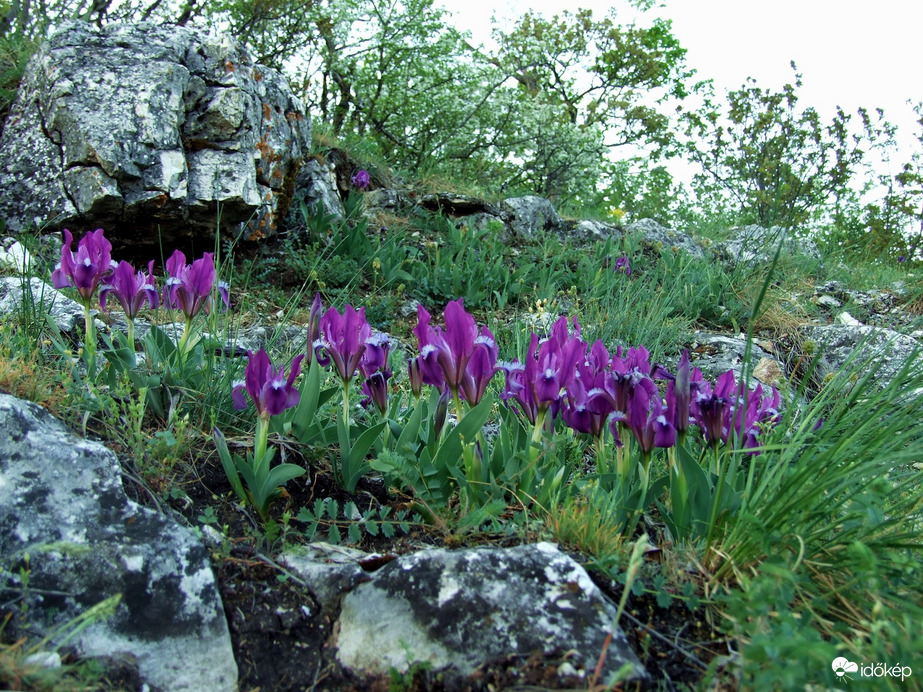 Búcsúztatjuk az áprilist 