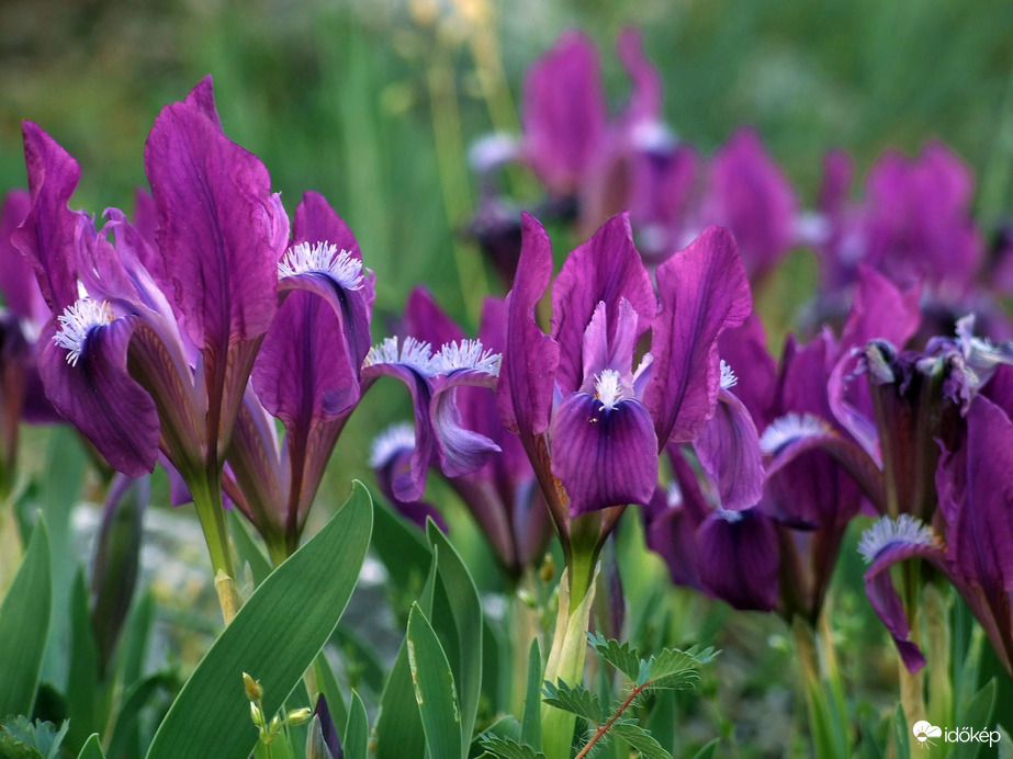 Búcsúztatjuk az áprilist 