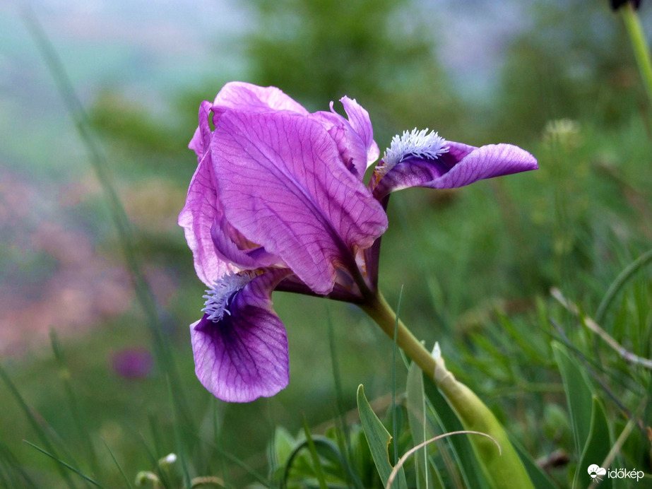 Búcsúztatjuk az áprilist 