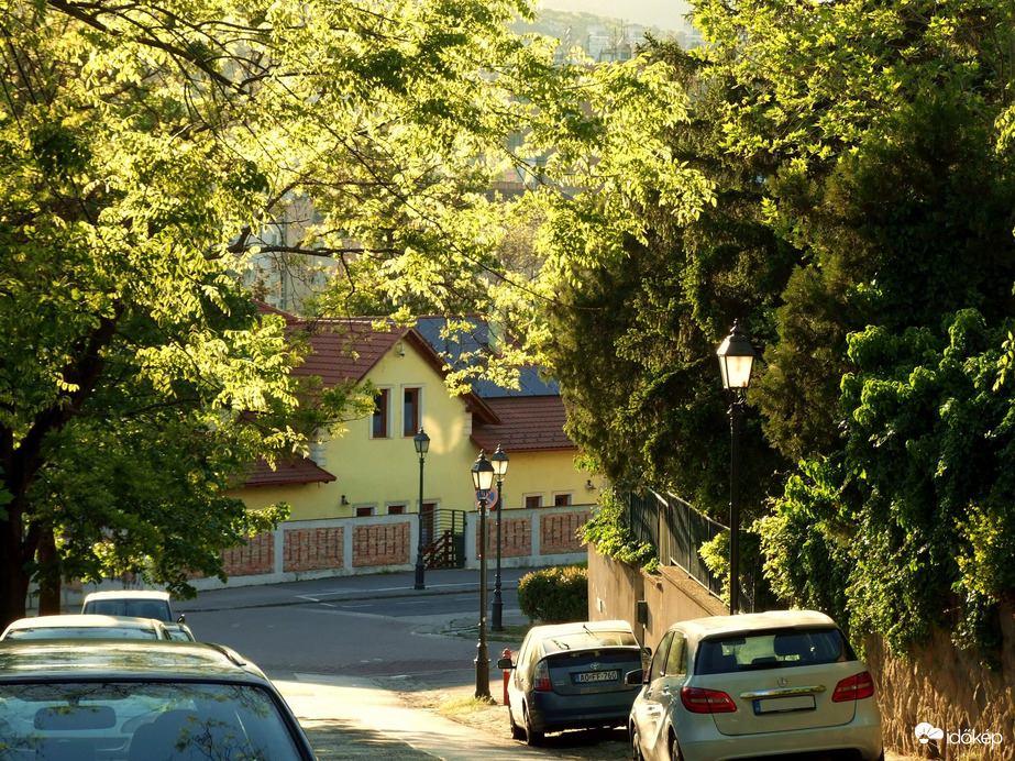 Naphegyi utca délutáni fényben 