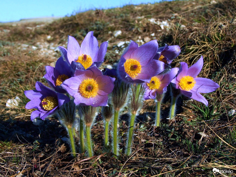 Napra irányított lokátorok :)